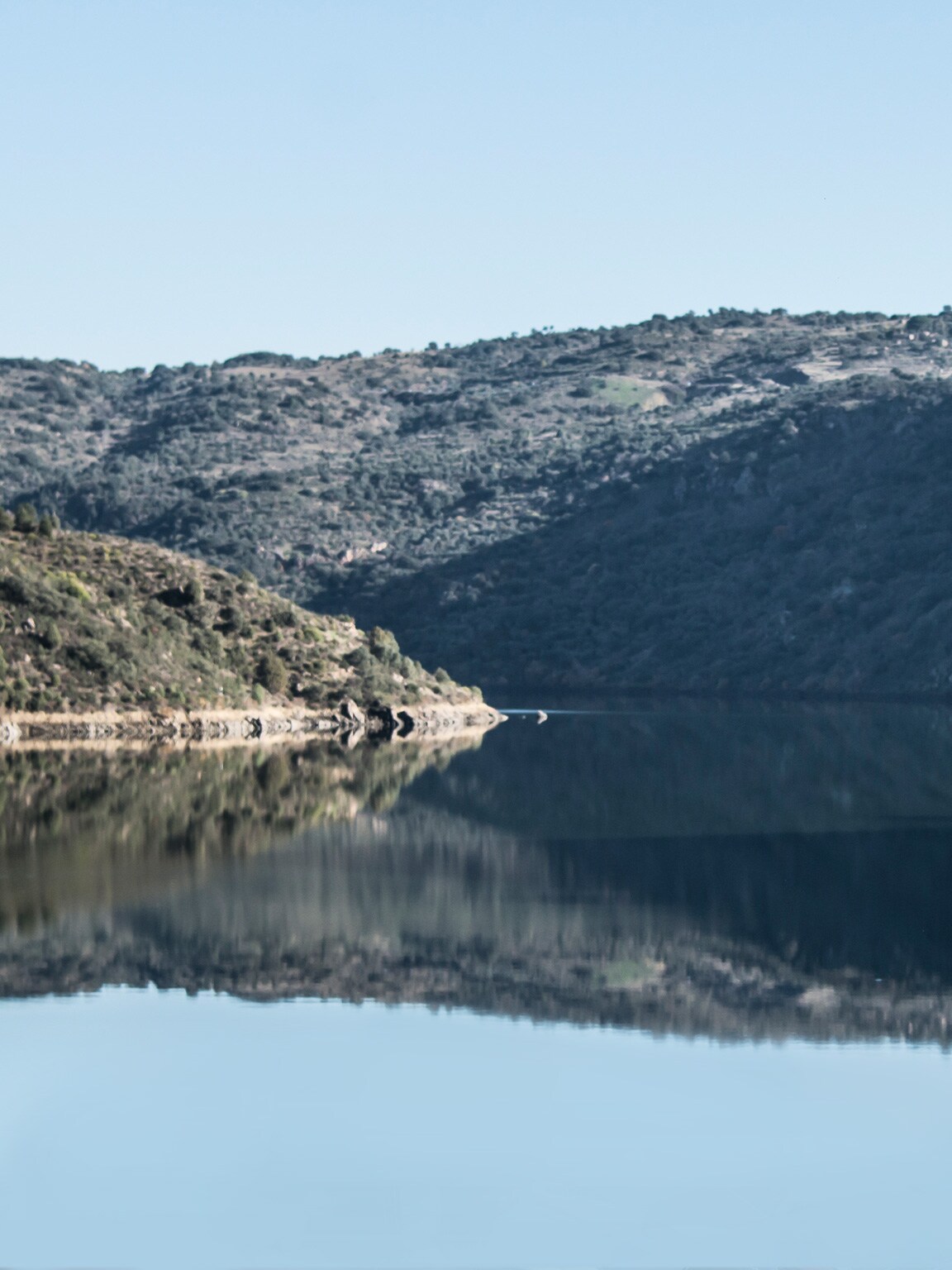 Sjön med träbeklädda berg i bakgrunden