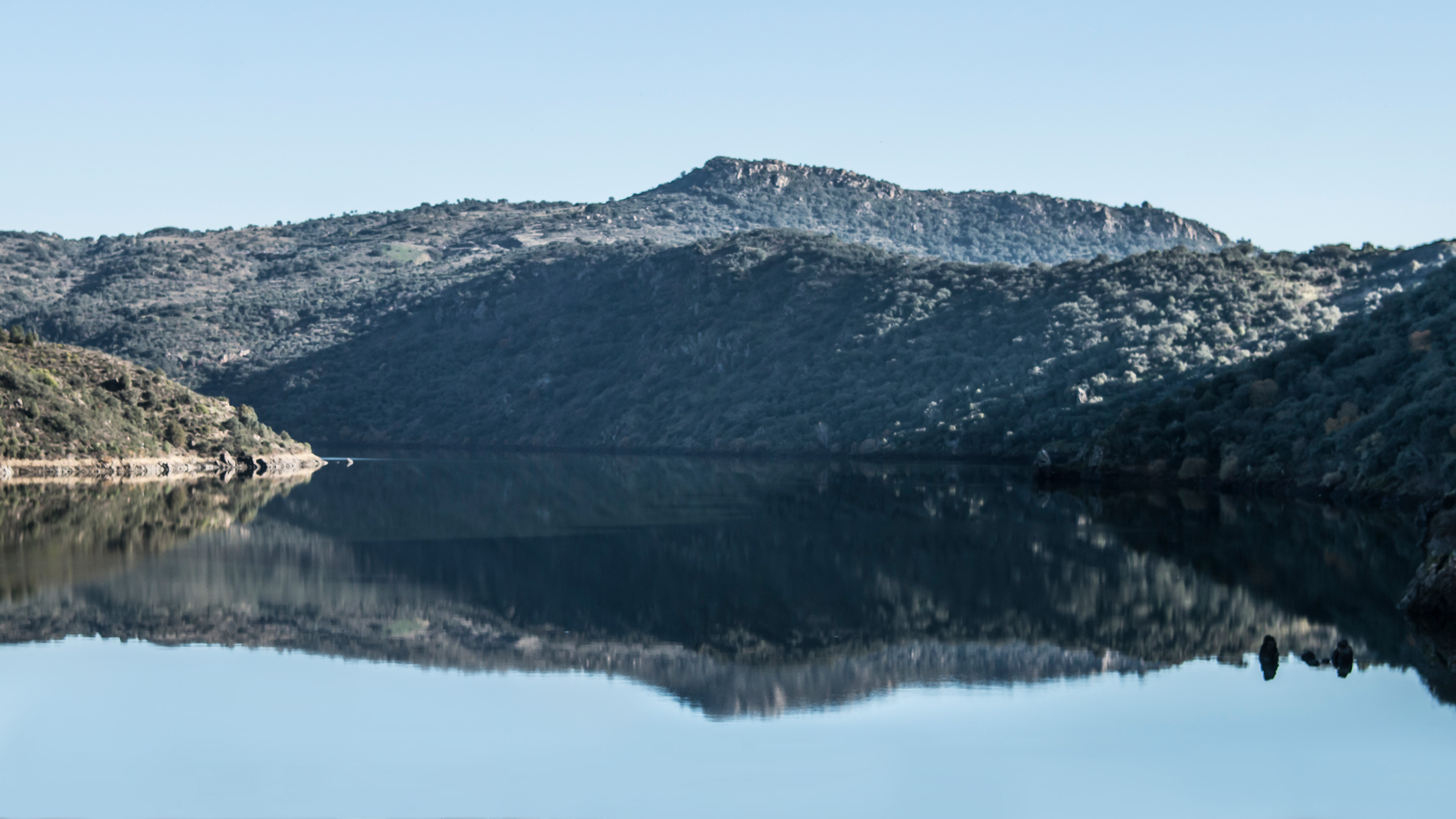 Fyrhjulsdrift | Sprinter husbilar & plåtisar | Mercedes-Benz Transportbilar Sjön med träbeklädda berg i bakgrunden