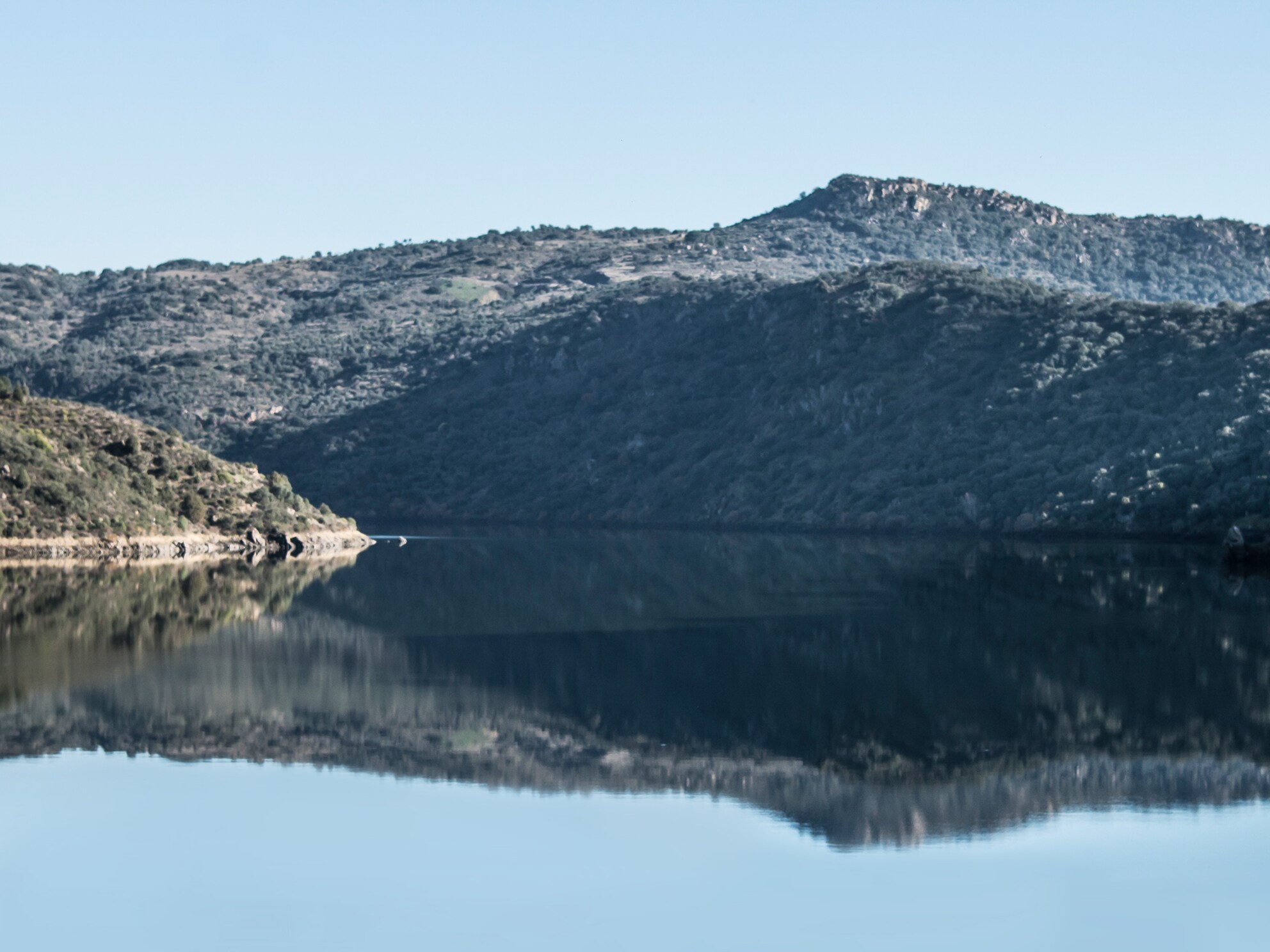 Sjön med träbeklädda berg i bakgrunden