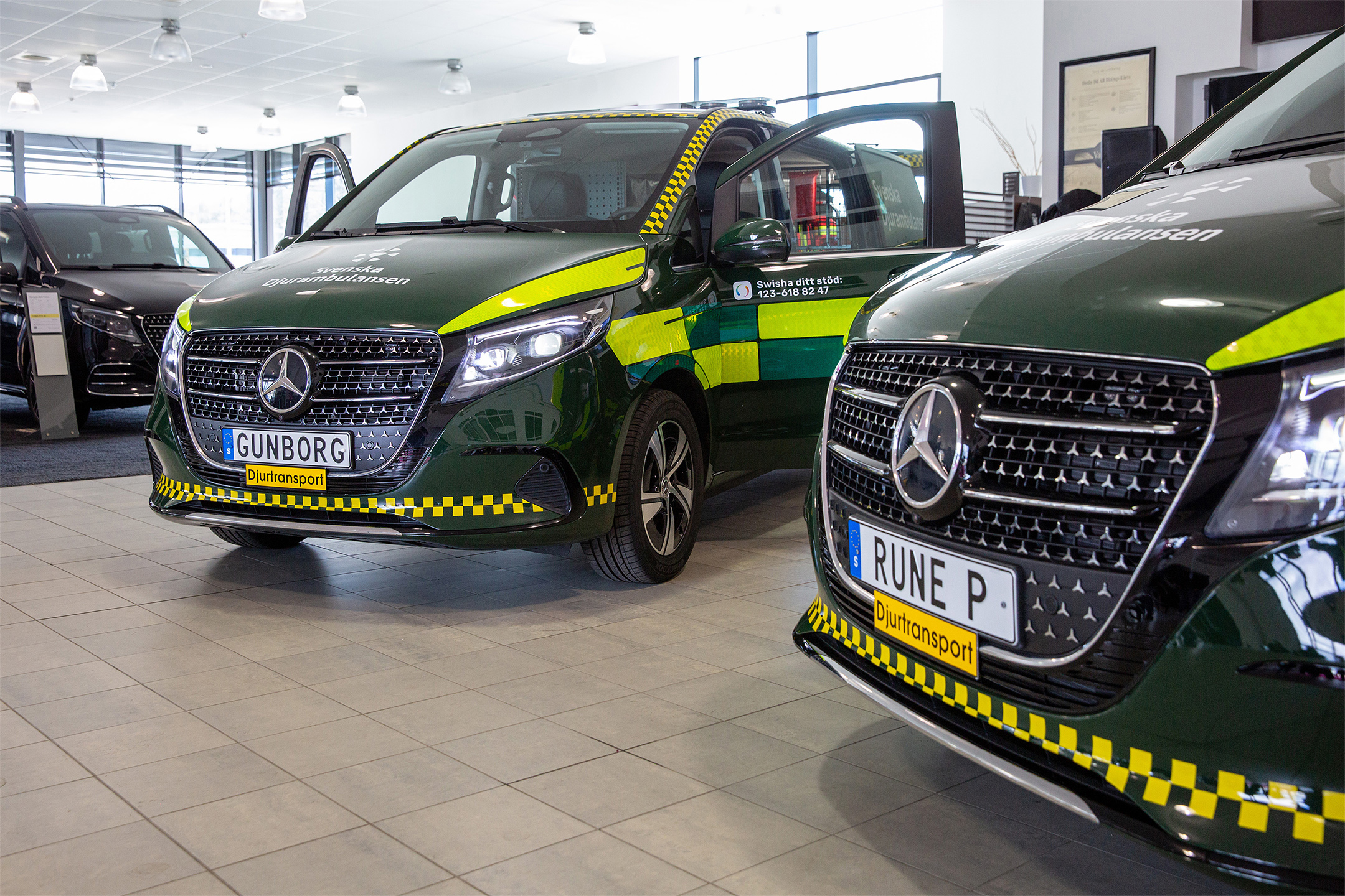 Djurambulans | Mercedes-Benz Transportbilar Två gröna Mercedes-bilar i en bilhall, en med öppen dörr.
